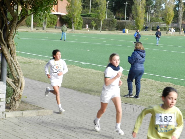 DSCN0678 (Small).JPG